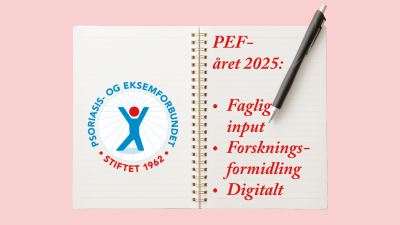 Bilde: PEF-året 2025